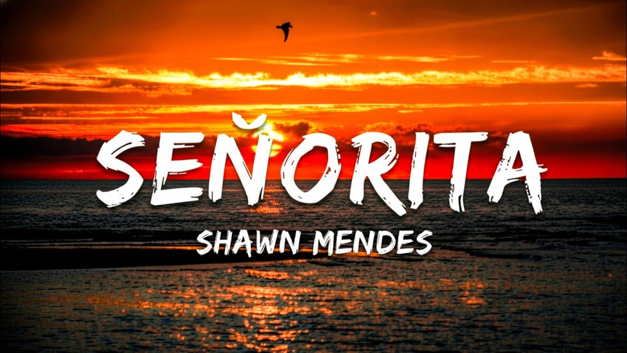 Shawn Mendes, Camila Cabello - Señorita (Lyrics)