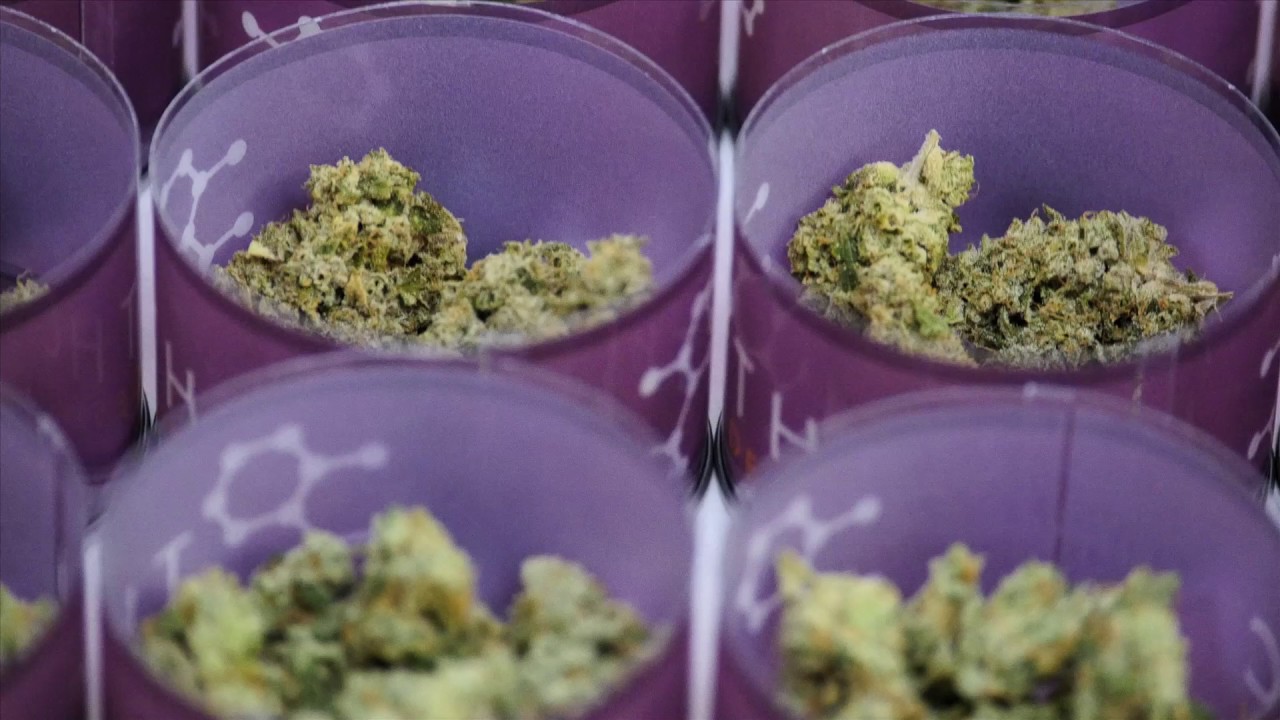 THC Design : Packaging