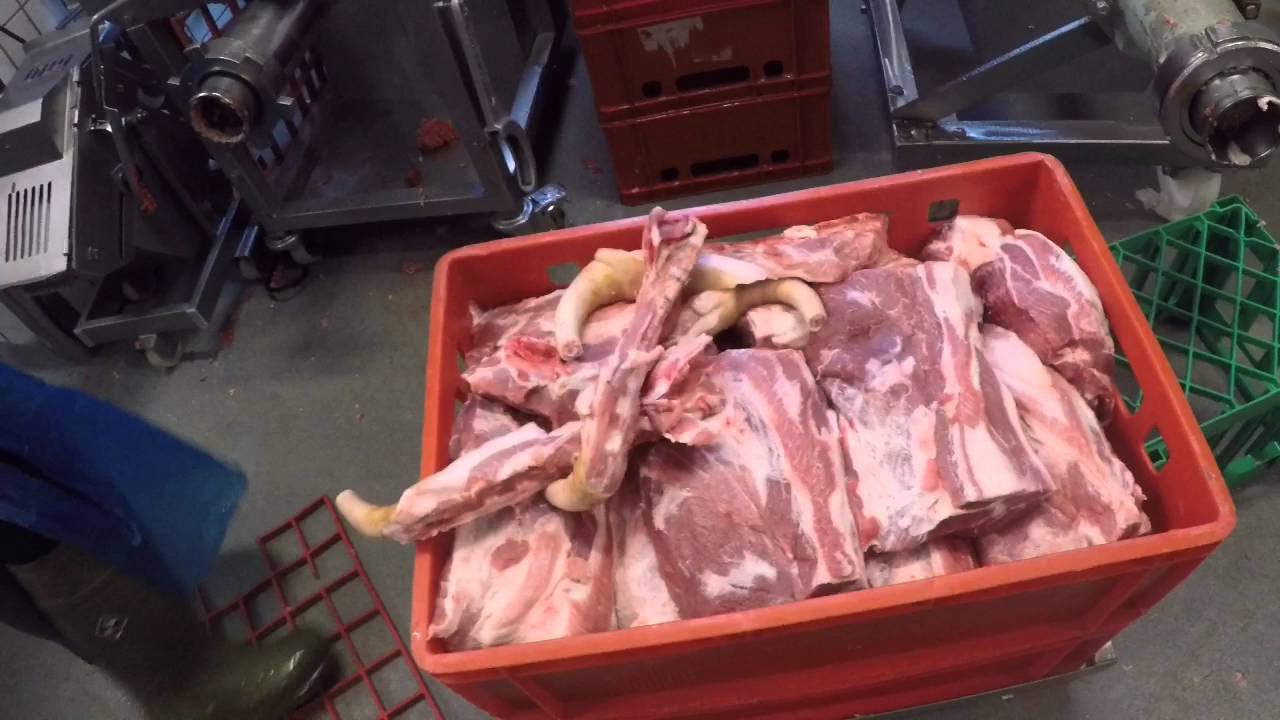 Fra Grise I Det Fri Til Mad Vi Kan Li'
