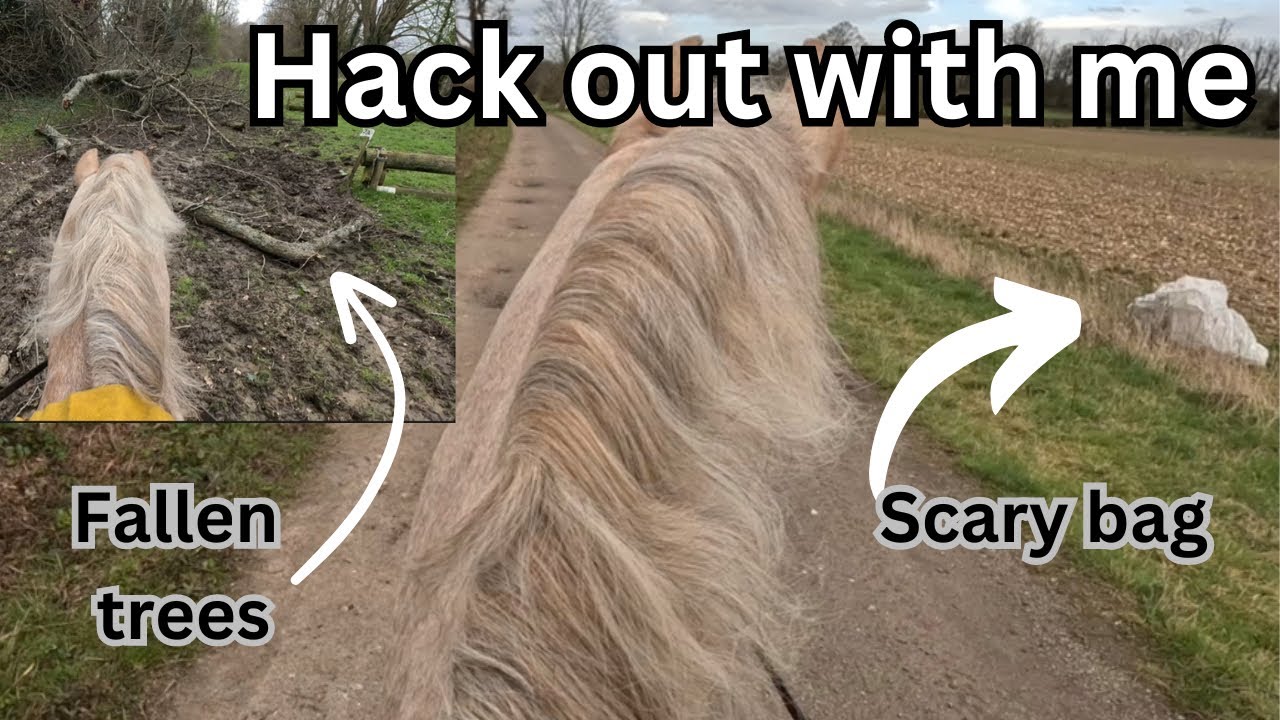 AN EVENTFUL TACK UP AND RIDE WITH ME GOPRO EDITION | Fallen Trees, Scary Bags and Excitable Lambs