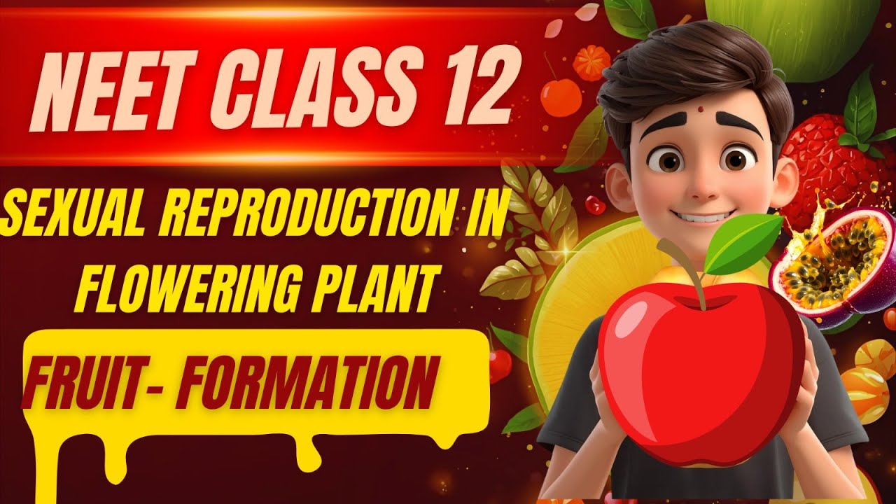 L-13 Fruit Formation & Types of Fruits | Sexual Reproduction in Flowering Plants