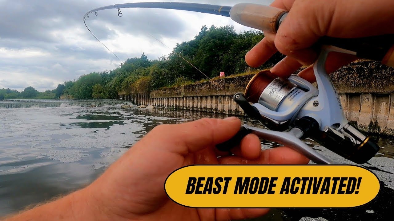 Awesome Barbel fishing on the float! #Barbel #Trentbarbel #floatfishing