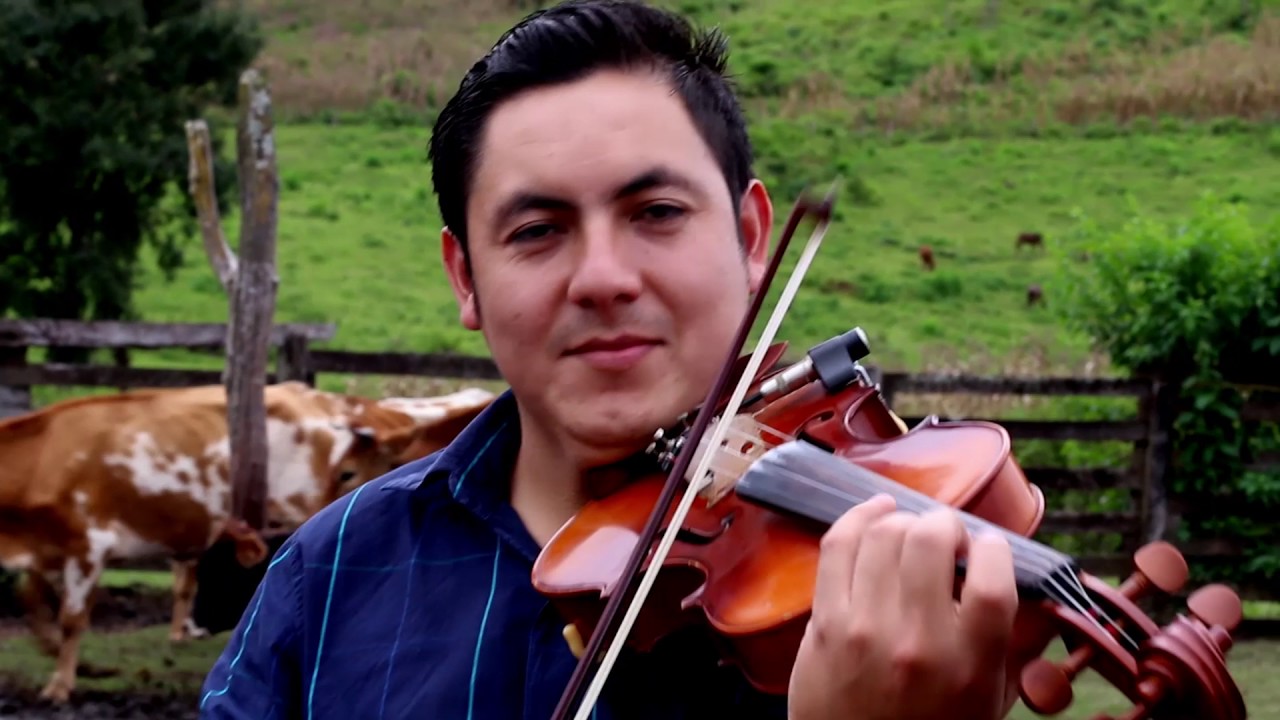 Sinfonía Silvestre -  Beto Vidal & Los Hermanos Hoyos Oficial