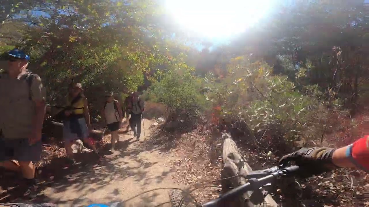 Lower Gabrielino Trail Sept 24 2022