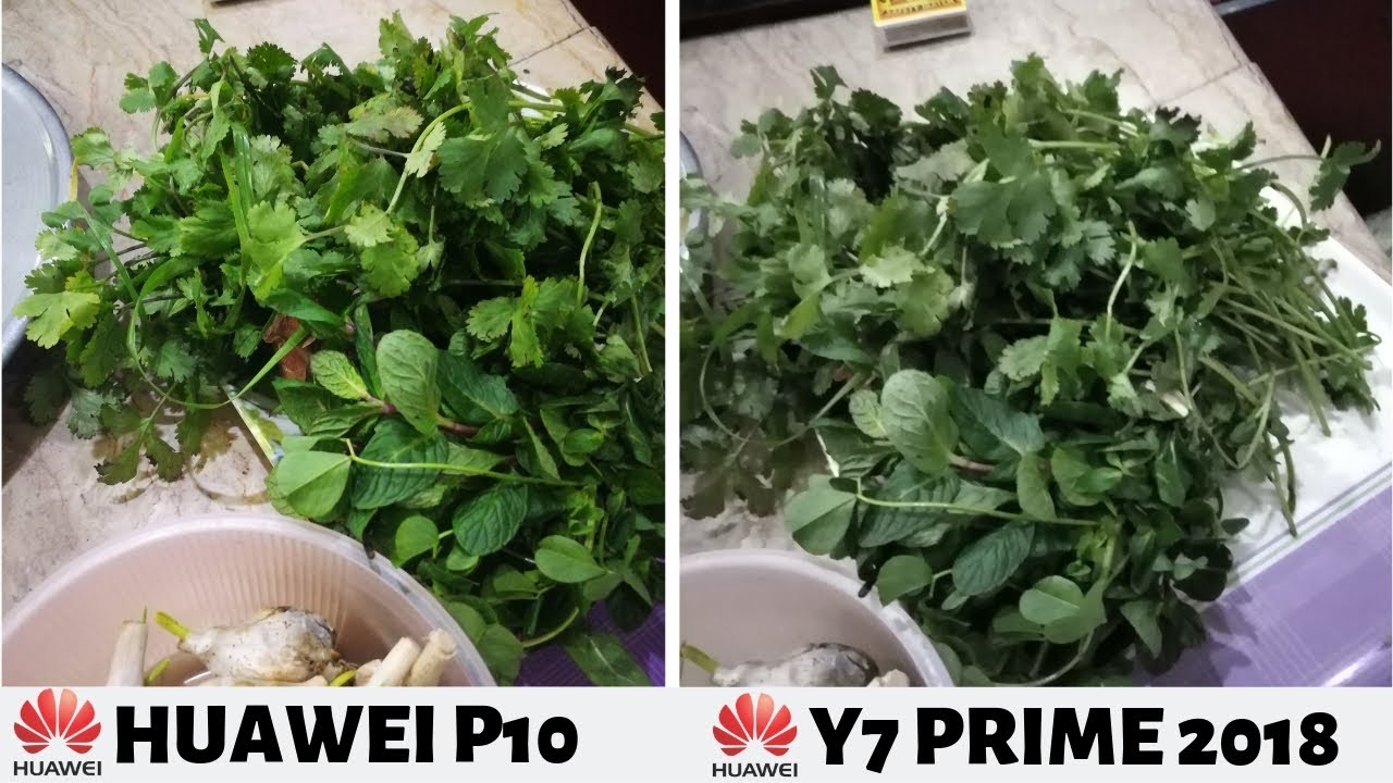 Huawei Y7 Prime 2018 vs Huawei P10 - Camera Test Comparison |WOW!!