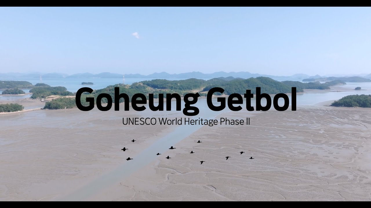 2024 Goheung Getbol