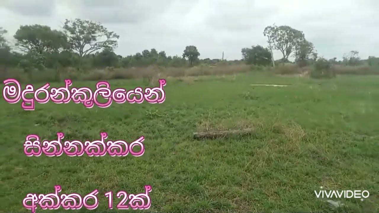 මදුරන්කුලියෙන්  සින්නක්කර  අක්කර  12ක්