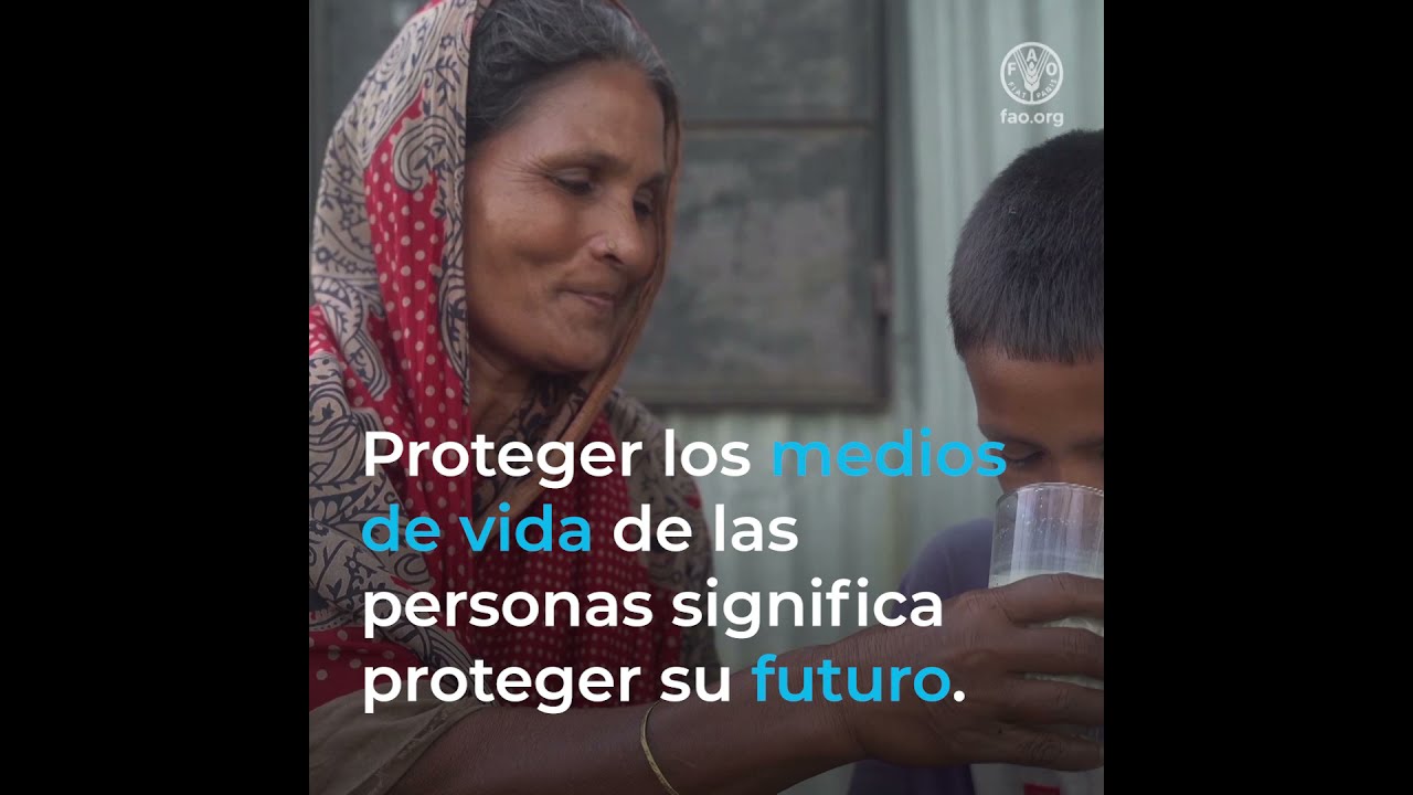 Predecir las crisis esel futuro de la ayuda humanitaria