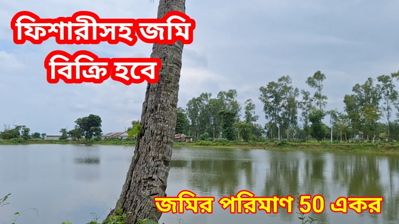 বিক্রয় চলছে — সিলেটের মনোরম প্রাকৃতিক পরিবেশে ৫০ একর জমির উপর প্রতিষ্ঠিত একটি বড় ফিশারী