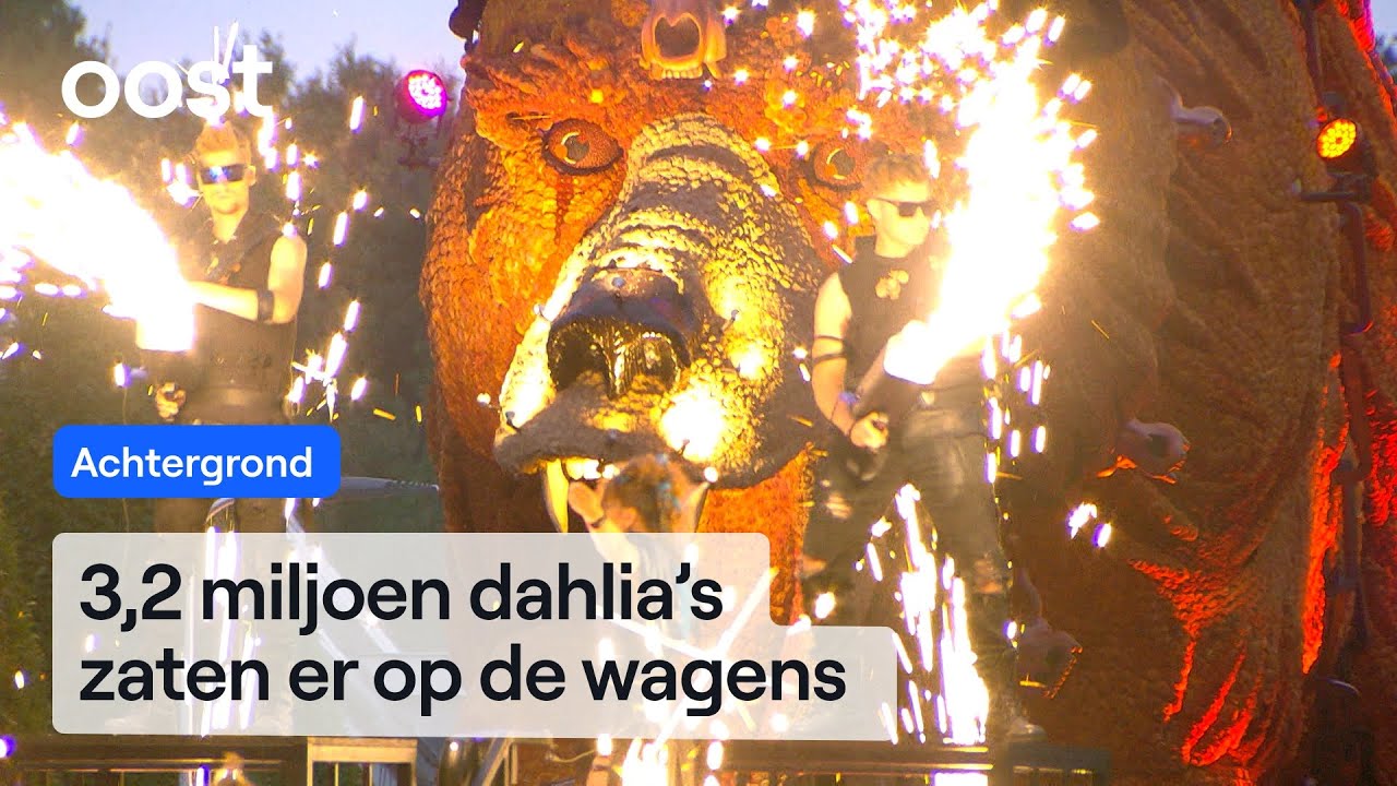Corso Sint Jansklooster: miljoenen bloemen in verlichte wagens | RTV Oost