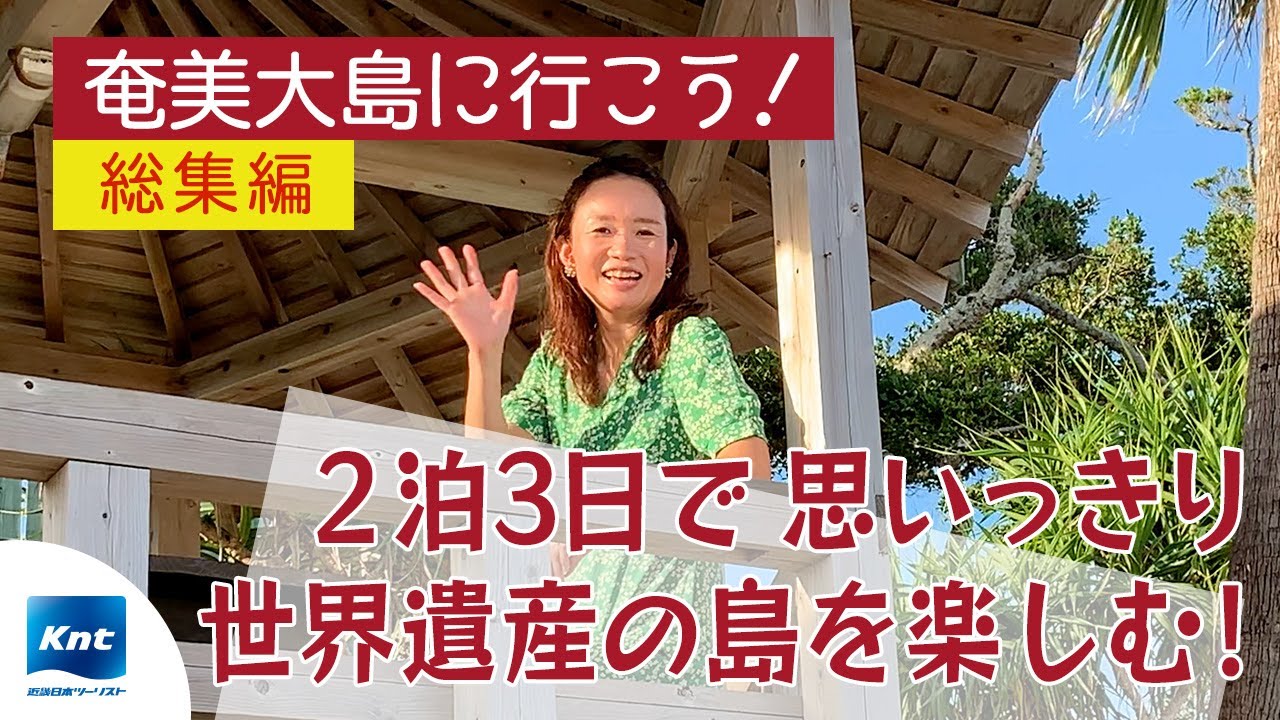 【奄美大島 2泊3日旅行】グルメ・観光・アクティビティ 大満喫の3日間​