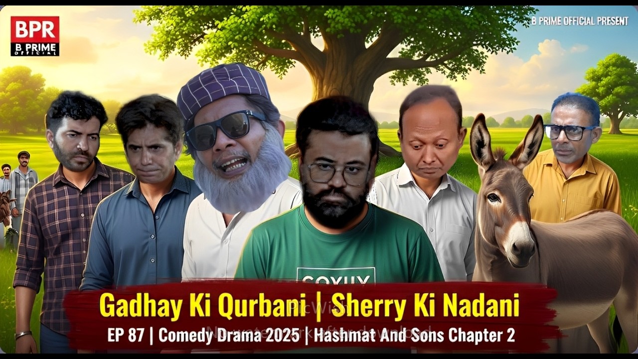 Gadhay Ki Qurbani | Sherry Ki Nadani | EP 87 | Comedy Drama 2025 | Hashmat And Sons Chapter 2