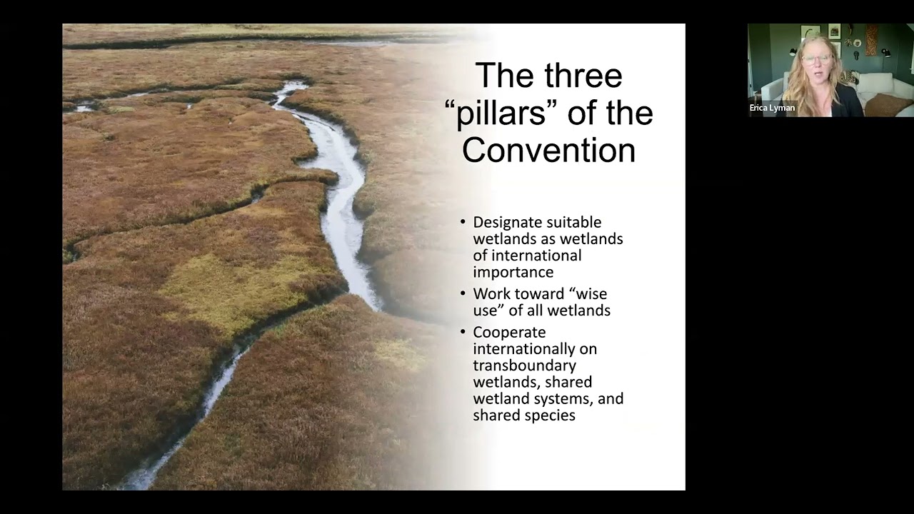 The Ramsar Convention and Animal Agriculture