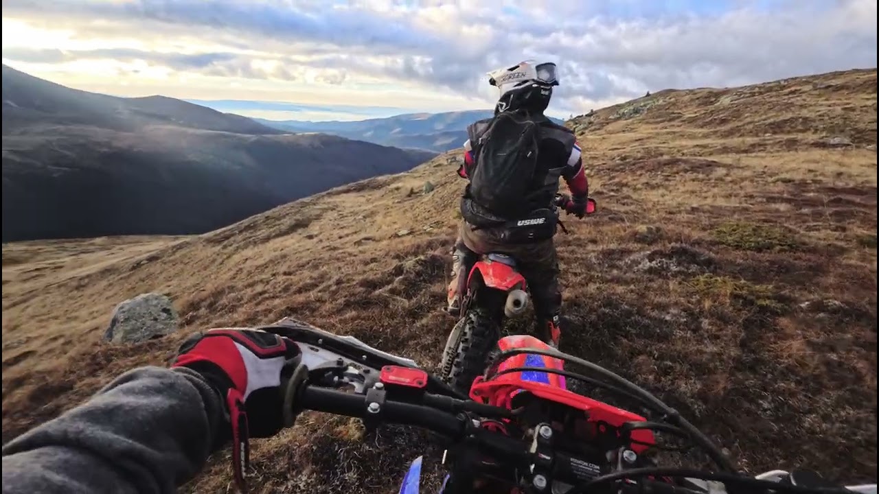 Freeride with Zsir 