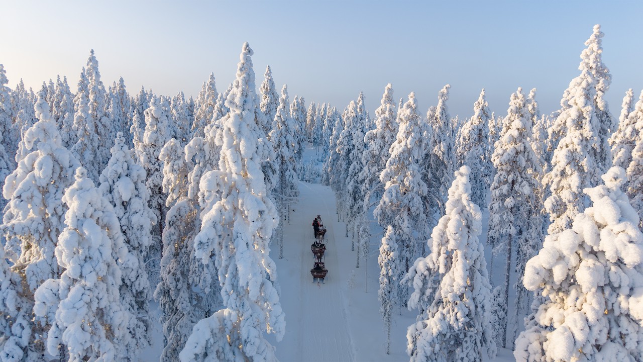 Snowy Forest Reindeer Ride 🦌❄️ | Traditional Reindeer Sleigh Ride in Rovaniemi, Lapland