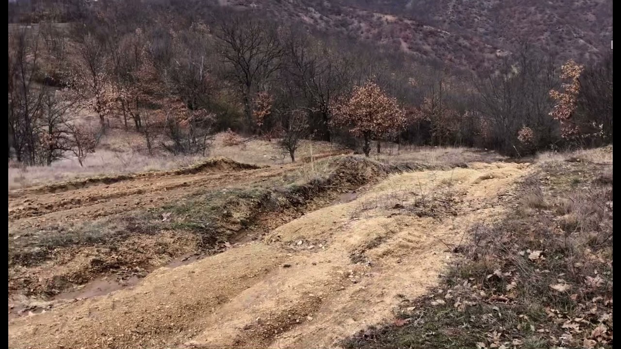 gjuetia e lepurit 1