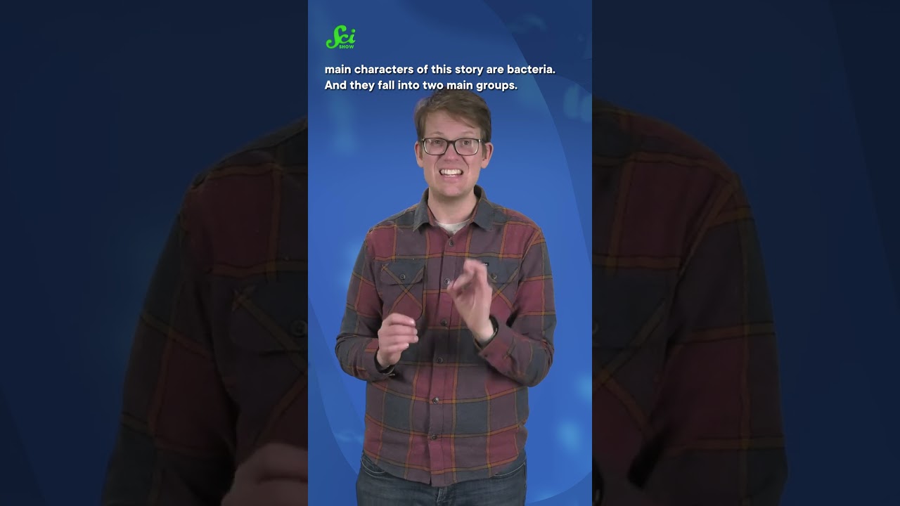Bamboo sequesters carbon, but not how you think. #shorts #science #SciShow