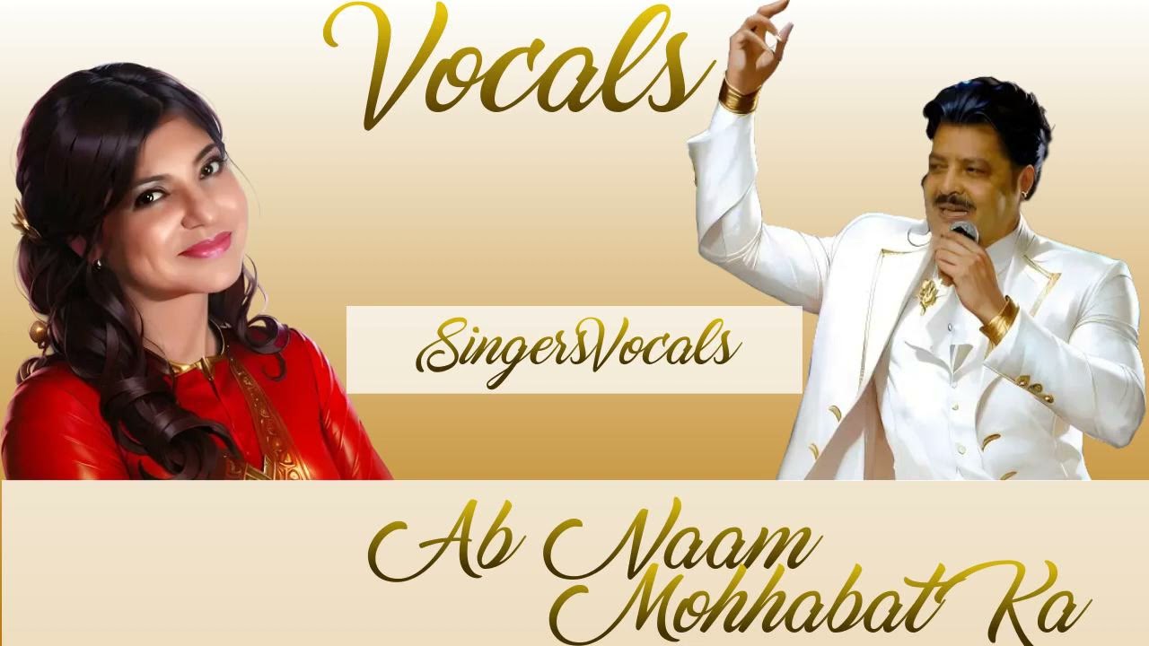 ab naam mohabbat ke ilzaam vocals | udit narayan | alka yagnik