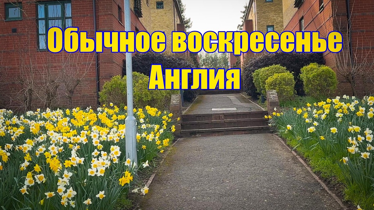 Vlog 617 - Как выглядит настоящее английское воскресенье весной 🇬🇧🌿