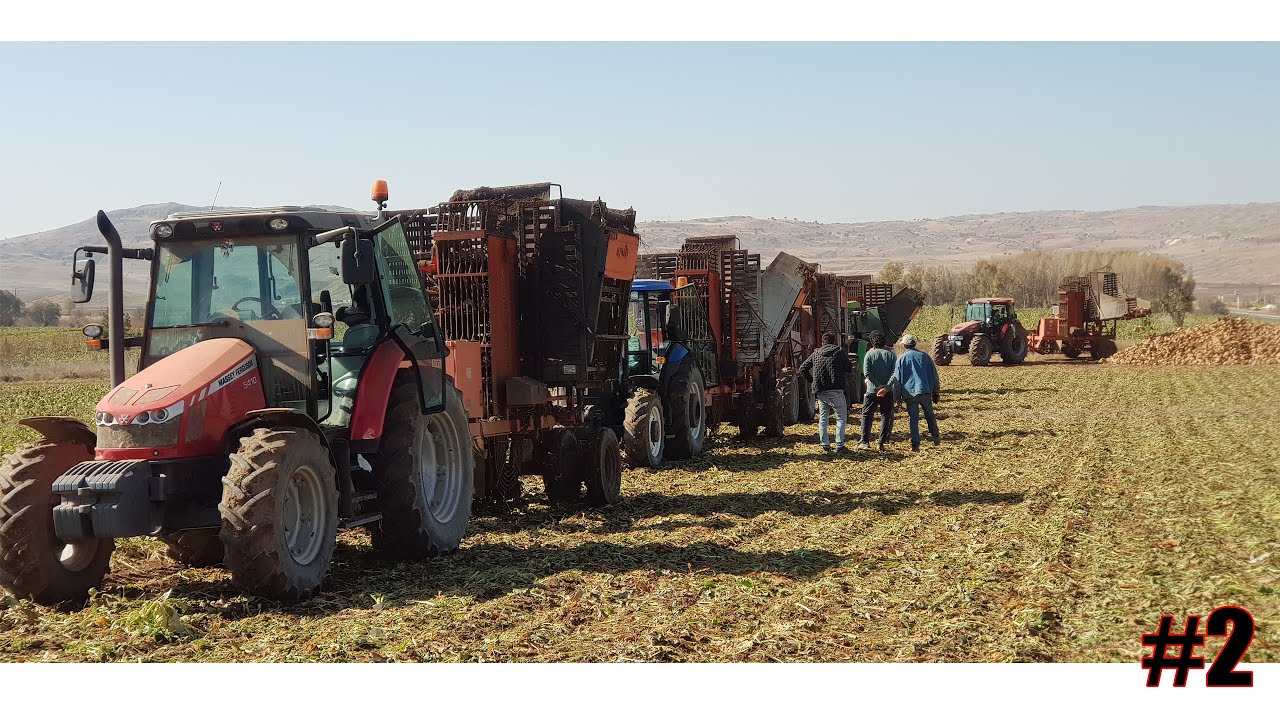 Az kalsın kışa kalıyorduk |dostlar son gün yetişti | pancar sökümü | 5 traktör | deutz-fahr battı!