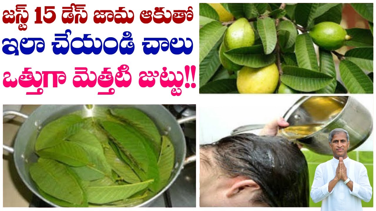 జస్ట్ 15 డేస్ జామ ఆకుతో ఇలా చేయండి చాలు ఒత్తుగా మెత్తటి జుట్టు !! | Dr Manthena Satyanarayana Raju