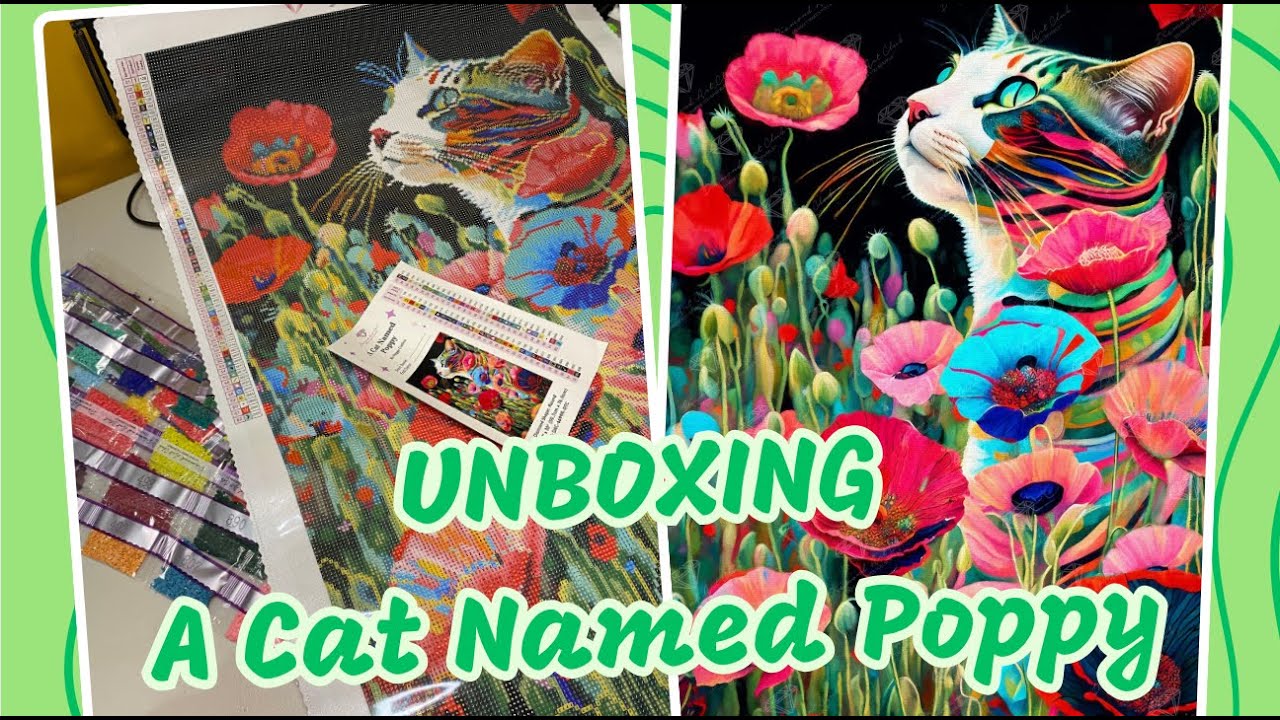 Unboxing 