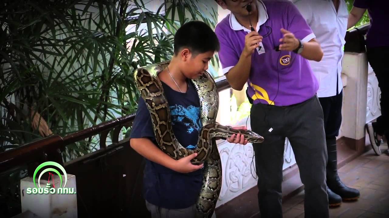 รอบรั้วกทม. วันที่ 03 พฤษภาคม 2558 ตอน สวนงูสถานเสาวภา 2 part4