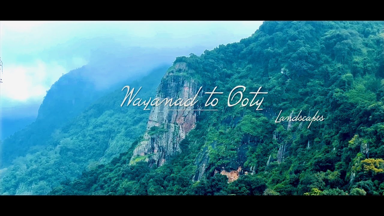 Wayanad to Ooty Landscapes