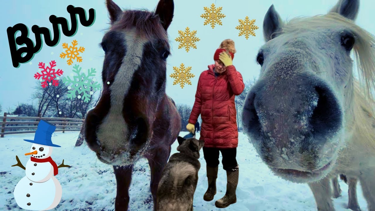 WE ENDURED A BLIZZARD AT THE BARN!!!|Vlog