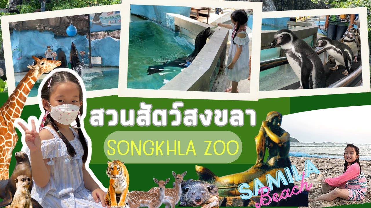 สวนสัตว์สงขลา [Songkhla Zoo] | น้องวีว่า | @viva.channel