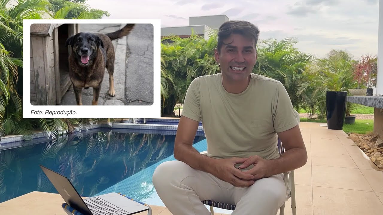 QUANTO VALE UM CARAMELO? O Orelha pagou com a vida para ser notado?