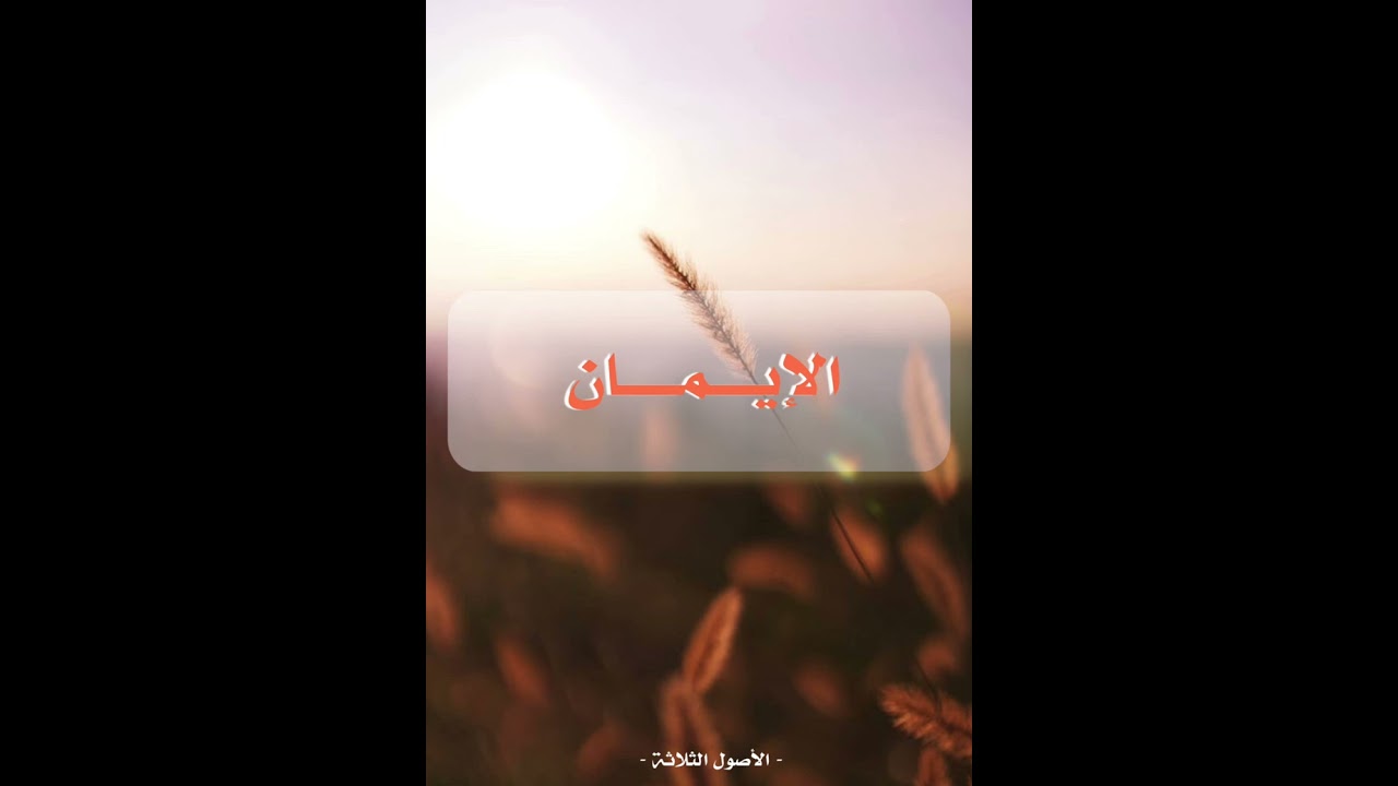 الإيمان أصل كل عبادة | كيف تسكن أركان الإيمان في أركان الإسلام ؟