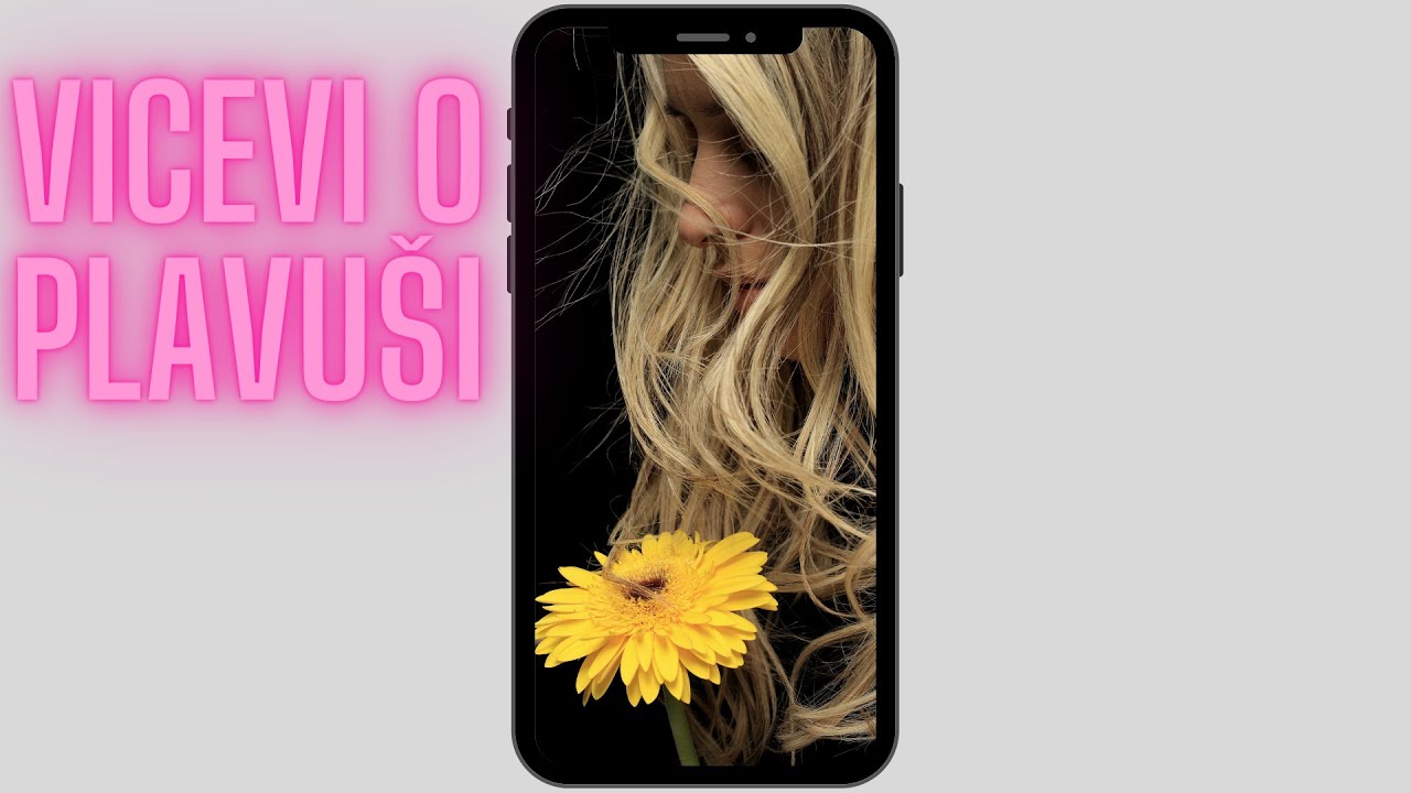 Vicevi o Plavu&scaron;i - Vicevi o Plavu&scaron;ama (2021)HD