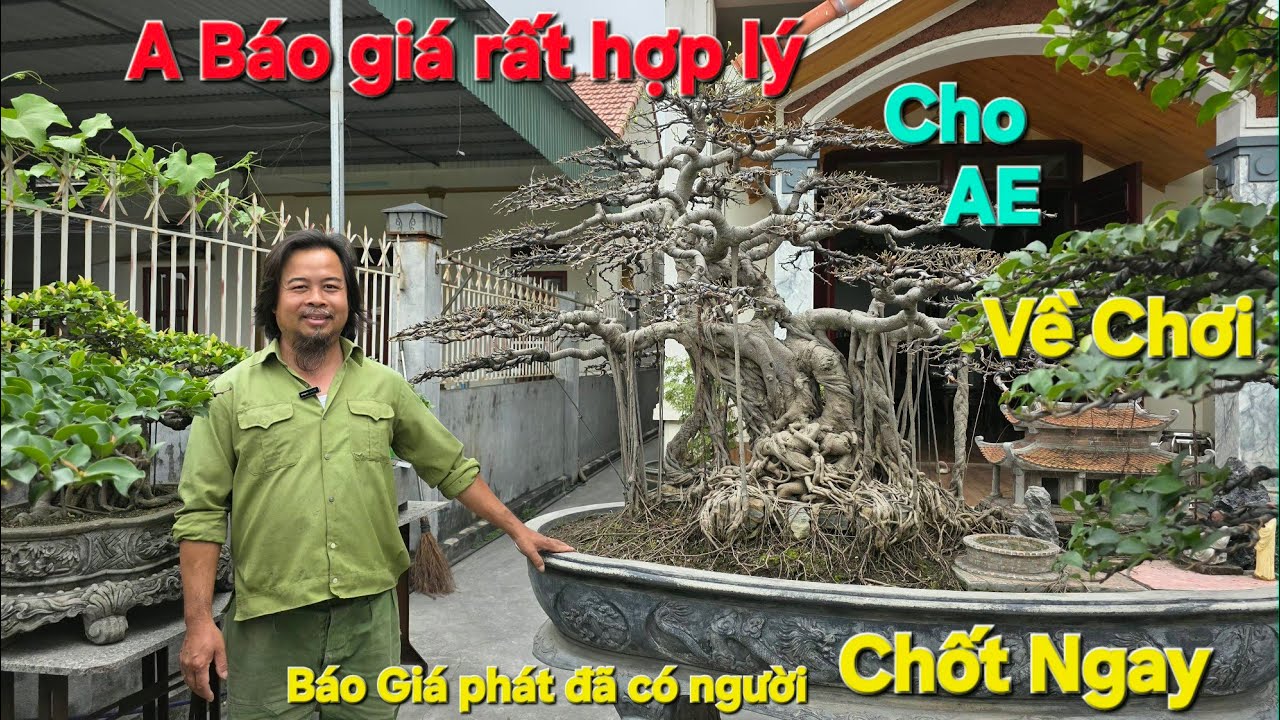Không gian Sân Chơi Của Anh Dương Tóc dài lần đầu tiên lên sóng, Có rất nhiều những tác phẩm đẹp Quý