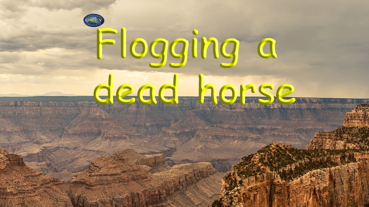 Flogging a dead horse | American Idiom