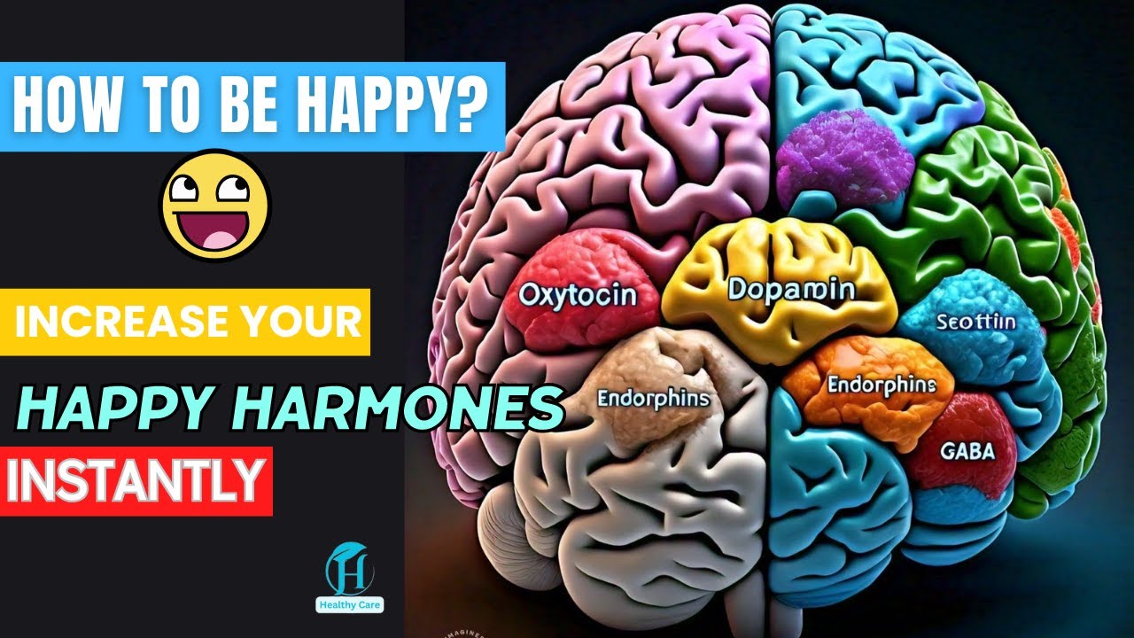 Happy Brain Chemicals: Dopamin, Serotonin, Oxytocin, Endorphin