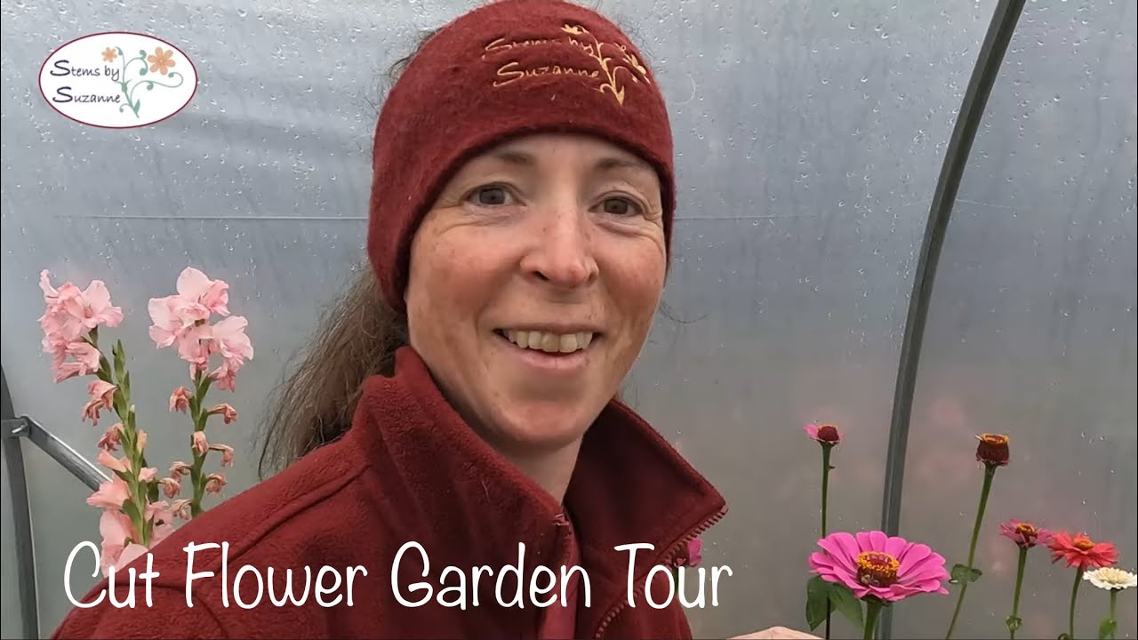 Early September Cut Flower Patch Tour// Stems by Suzanne Cut Flower Garden