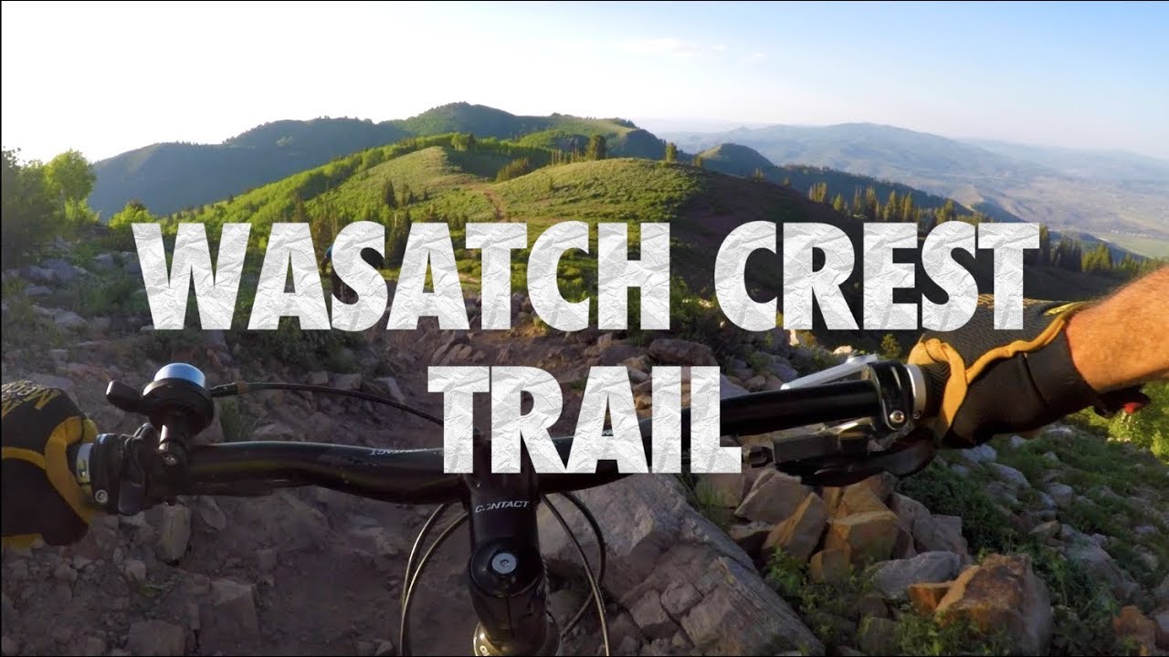 Wasatch Crest Trail | Mountain Bike Ride