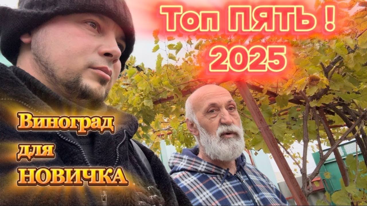 Разговоры по ДУШАМ / Какой Виноград Посадить Новичку в 2025