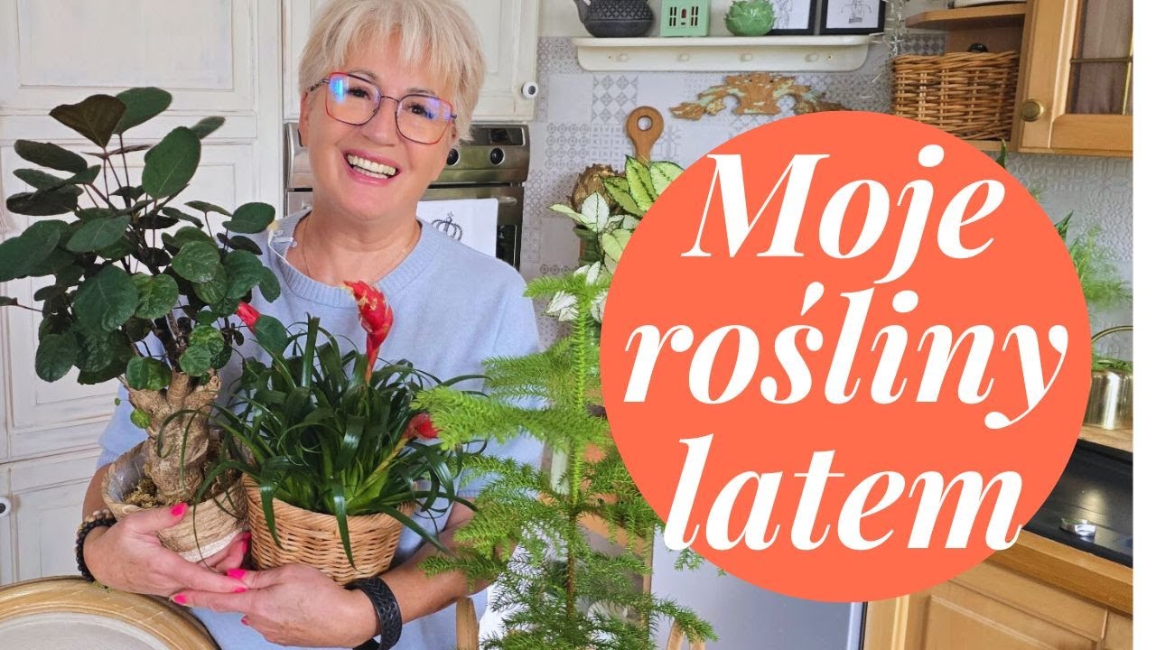 Letni przegląd roślin domowych. Zajrzyj do mojego zielonego królestwa!