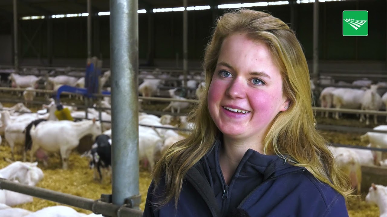 Nienke Deten (23) scoort beste gehaltes bij melkgeiten
