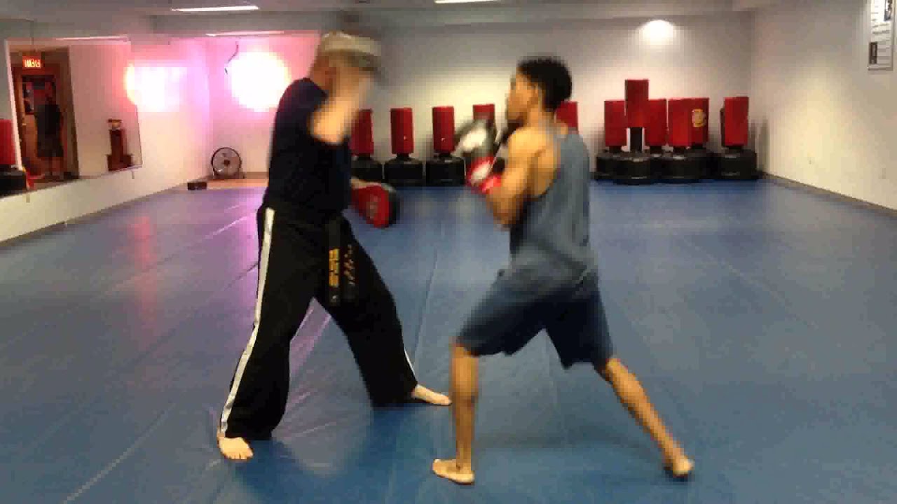 Mixed Martial Arts Training in Flowery Branch Georgia