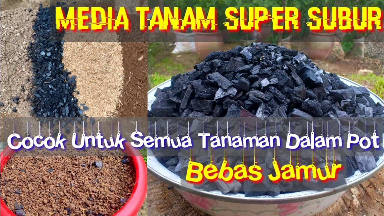 Media Tanam Super Subur Bebas Jamur | 3 Minggu Siap Pakai Cocok Untuk Semua Jenis Tanaman Dalam Pot