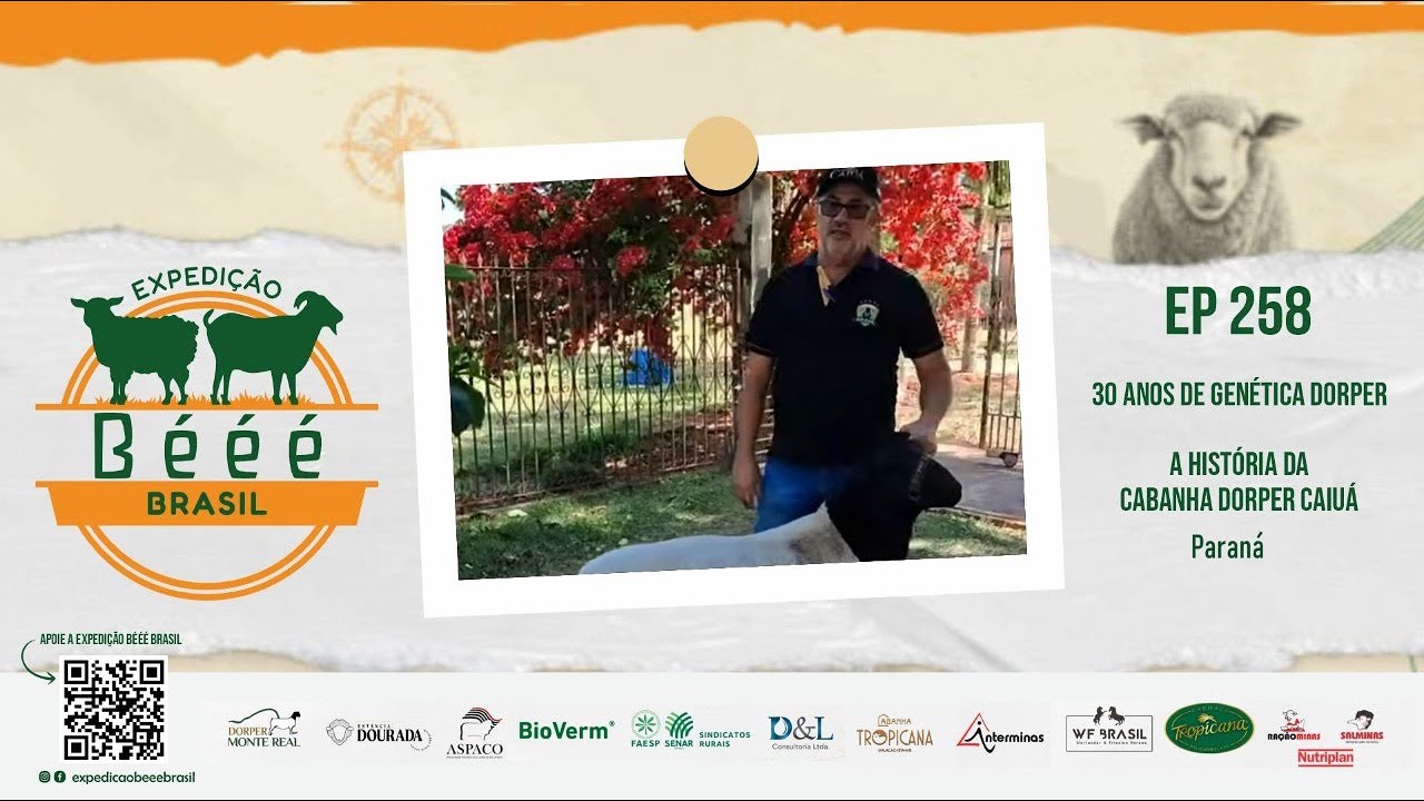 30 anos de genética Dorper | A história da Cabanha Dorper Caiuá - EP 258