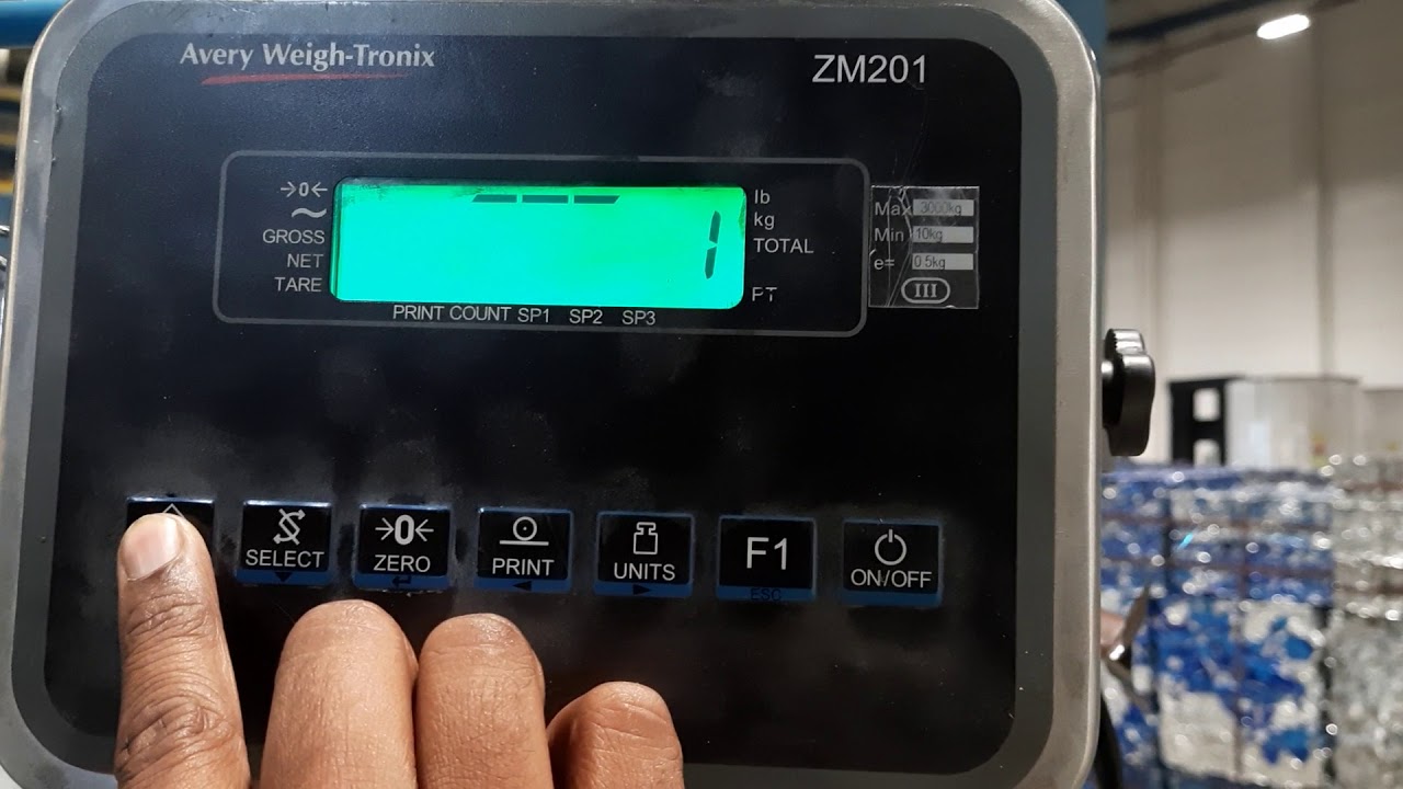 Avery weigh-Tronix ZM201