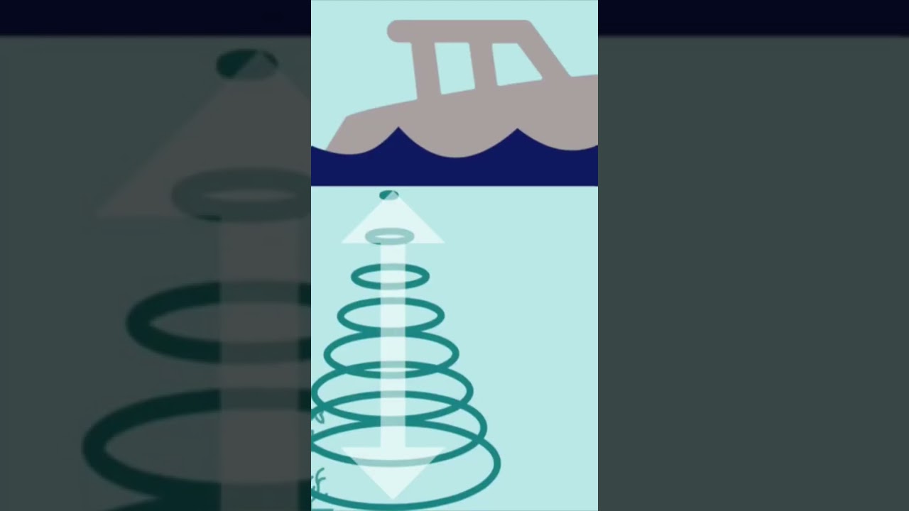 FISH FINDER - How does a transducer work?