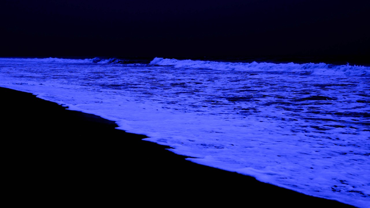 Embrace the Soothing - Sea Relaxation Waves for Healing and Sweet Sleep