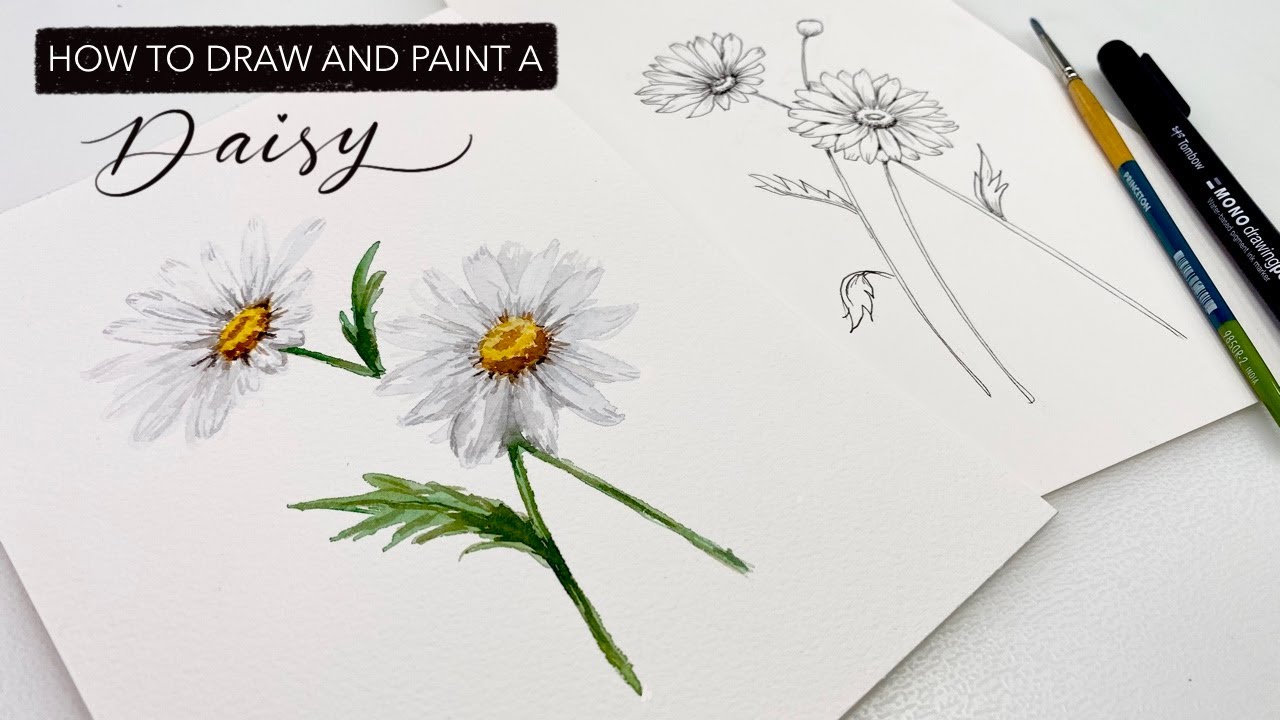 Watercolour Daisy: How To Draw And Paint APRIL'S Birth Month Flower
