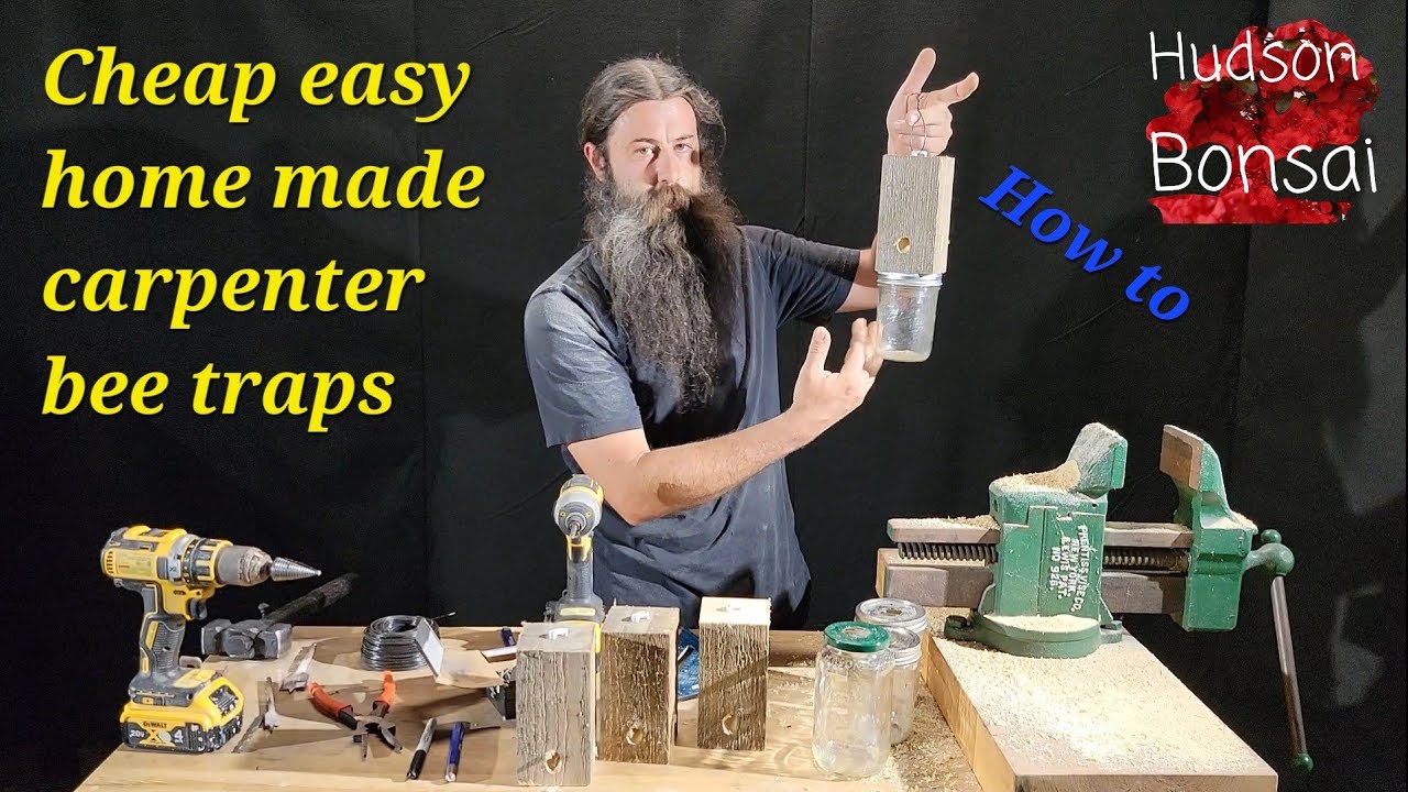 How to get rid of carpenter bees. Make homemade carpenter bee traps cheap and easy.