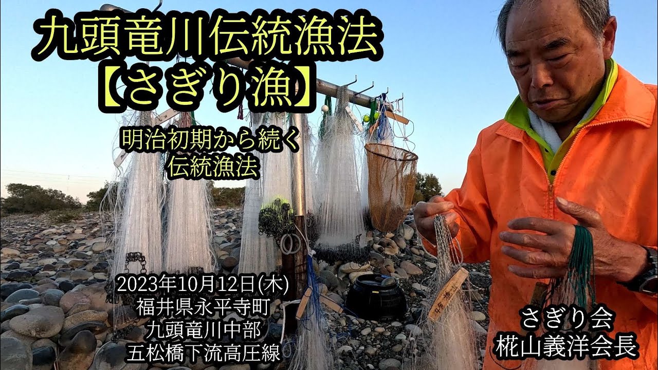 九頭竜川伝統漁方【さぎり漁】福井県永平寺町　五松橋下流　2023年10月12日
